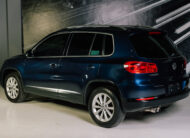VOLKSWAGEN TIGUAN 2015 TRACK FUN