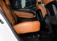 MERCEDES BENZ GLE 43 AMG 2019